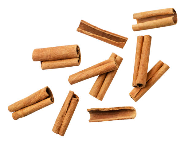 cinnamon sticks falling on a white background, cut. isolated - cinnamon imagens e fotografias de stock