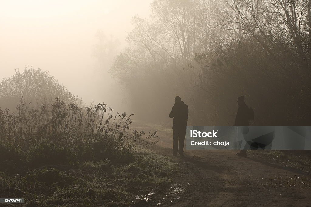 실루엣 있는 mist.winter 아침입니다, 웻랜드 - 로열티 프리 갈대속-벼과 스톡 사진