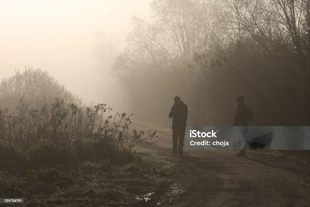 Silhueta da mist.winter de manhã, zona húmida - Royalty-free Amizade Foto de stock