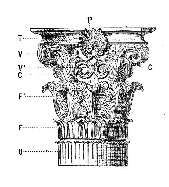 illustrazioni stock, clip art, cartoni animati e icone di tendenza di illustrazione antica: capitello della colonna corinzia - corinthian