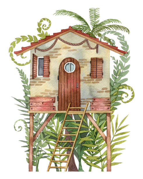 ilustraciones, imágenes clip art, dibujos animados e iconos de stock de acuarela pequeña fachada de casa con helechos y palmeras. ilustración de arquitectura pintada a mano de linda playa y casa del bosque con escalera. plantas tropicales de selva verde e hiedra en el fondo - shingle beach