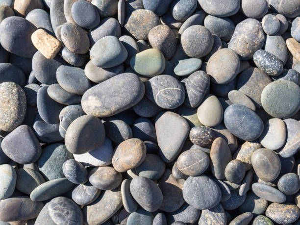 istock Tulane Riverstones of Mixed Rock Types in Bright Light from Upper Left 1347277796