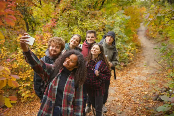 Active free time activity, Forest walking. Group of joyful friends spending time together on nature, doing hiking. Concept of leisure time, weekends, activity, sport. Copy space for ad