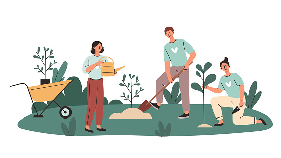 Volunteers plant trees concept. Men and women engaged in greening planet. Caring for nature and environment. Kind people water plants. Cartoon flat vector illustration isolated on white background