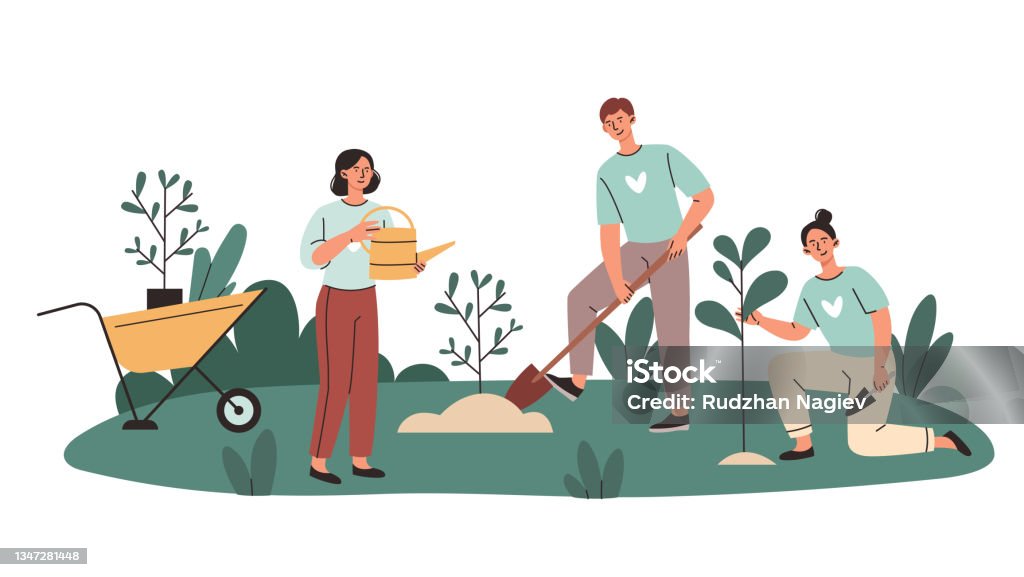 Volunteers Plant Trees Concept Stock Illustration - Download Image Now -  Tree, Planting, Garden - iStock