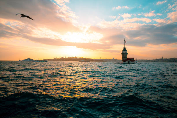 istock Maiden's Tower and Seagulls 1347282469