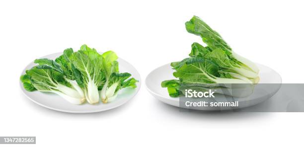 Pok Choi In Plate On A White Background Stock Photo - Download Image Now - Cabbage, Color Image, Crockery