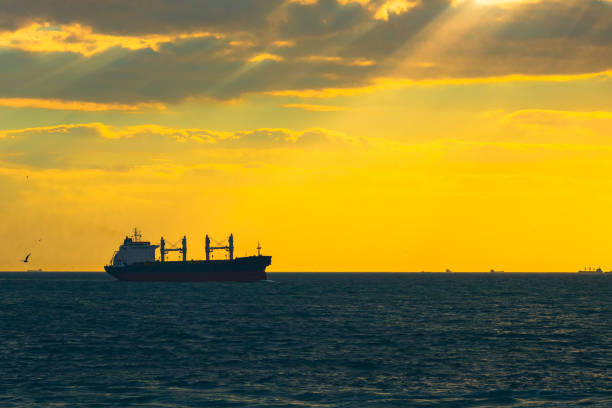 istock A cargo ship on the sea at sunset 1347282657
