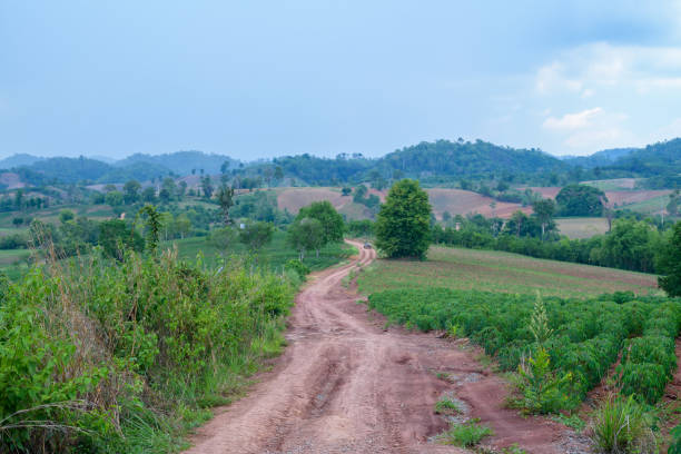 istock Dirt road with the meadow in countryside 1347282871
