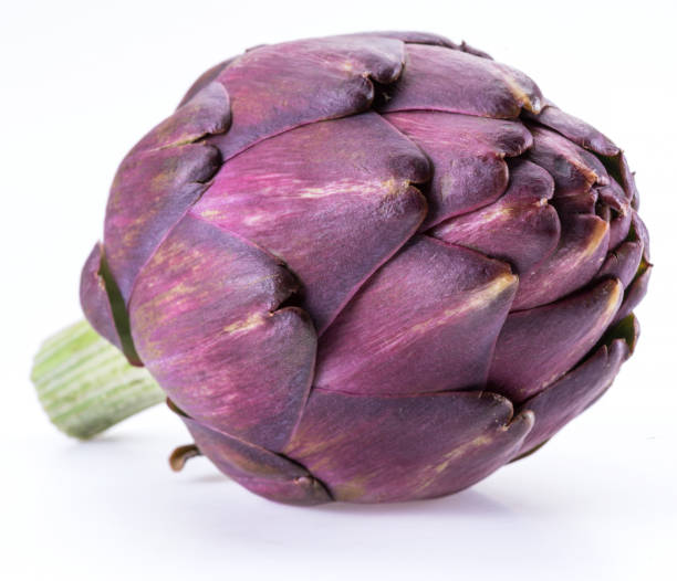 아티초크 꽃, 흰색 배경에 고립 된 보라색 식용 꽃봉오리. - purple artichoke 뉴스 사진 이미지