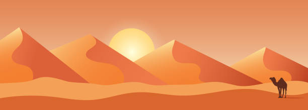 ilustrações de stock, clip art, desenhos animados e ícones de beautiful sand dune landscape illustration with a camel - sand dune illustrations