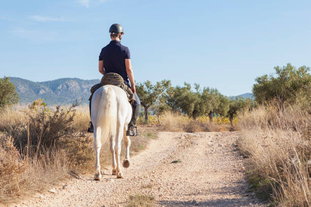 A horseman riding on a rural way