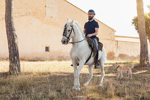 A rider, a Caucasian man with a beard, is riding his white horse in front of an old house and next to the trunks of some trees. Next to him is his brown-coated dog.