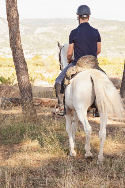 istock The back of a rider mounted on horseback 1347298531