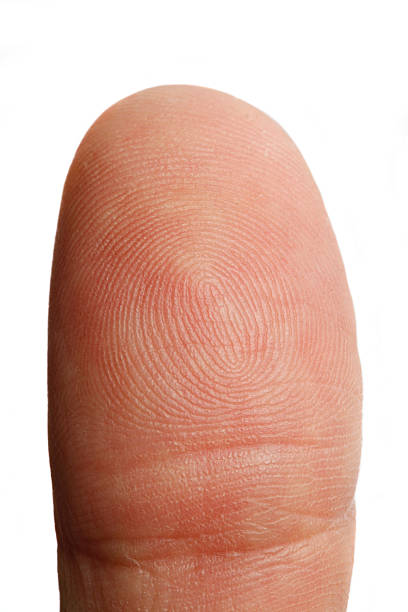 closeup Closeup  fingerprint photos stock pictures, royalty-free photos & images