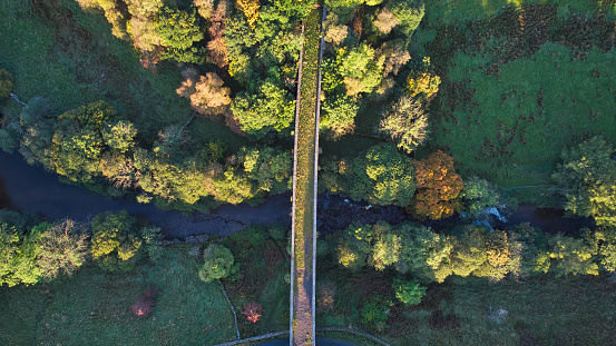 Aerial view of derelict railway viaduct in countryside, Appersett, Wensleydale, Yorkshire Dales National Park, North Yorkshire, England, Britain