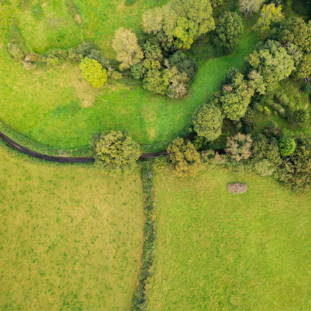 English countryside from directly above Grass fields separated by traditional hedges and a narrow country road in Devon, England. patchwork landscape stock pictures, royalty-free photos & images