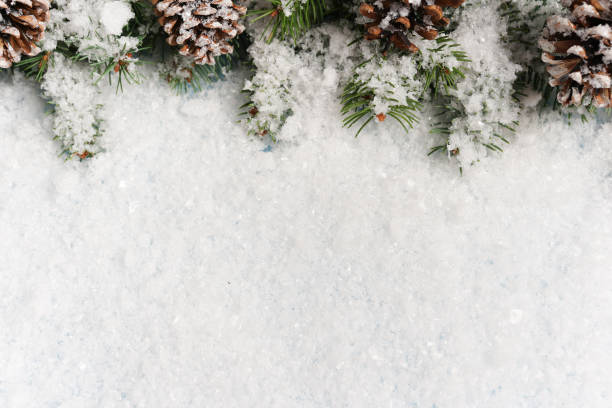 istock Christmas background with snow fir tree on the table. Top view with space for your greetings 1347301473