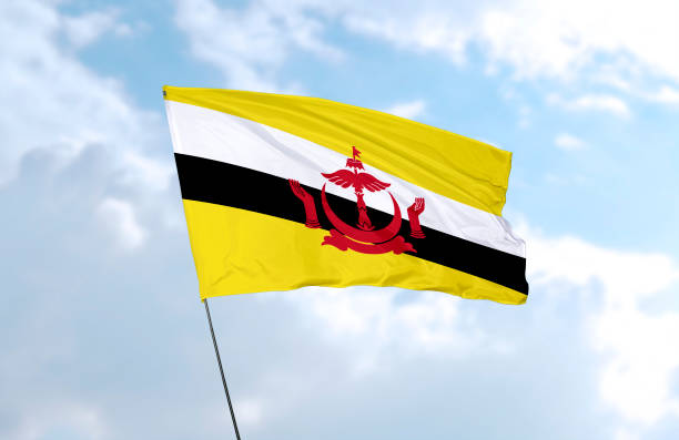 ブルネイの国旗 - brunei flag ストックフォトと画像