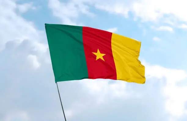 Flag of Cameroon in front of the blue sky