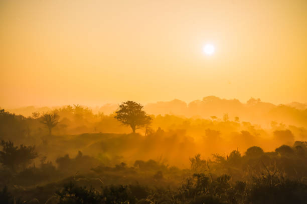istock fog over thecountry site 1347305803