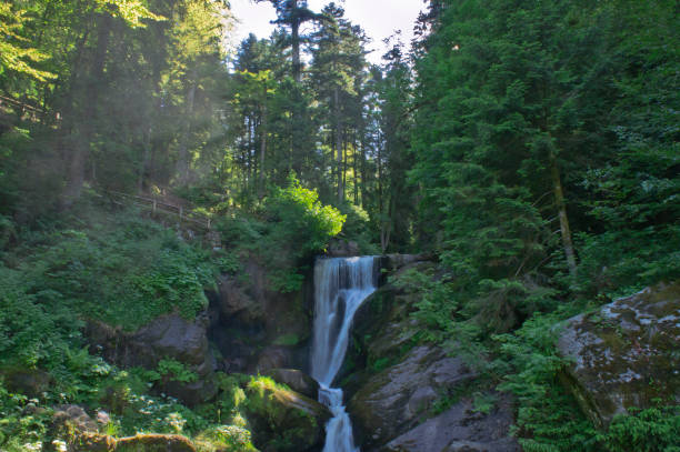 istock Triberg Park Waterfall, Germany, Europe 1347311599