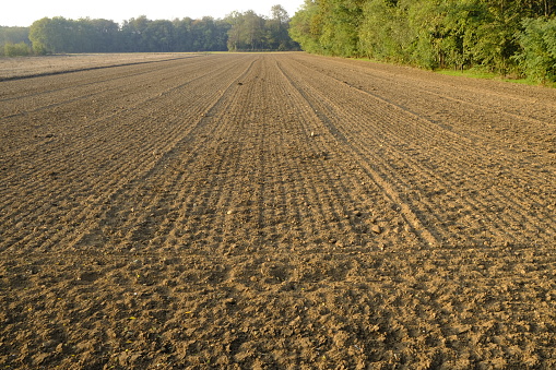 plowed field
