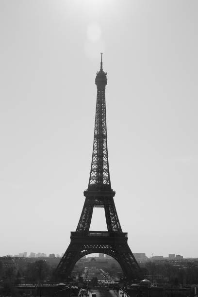 istock Black and white Eifel Tower. Paris, France. 1347316808