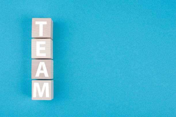 The word team is standing in white letters on wooden cubes, blue colored background, copy space stock photo