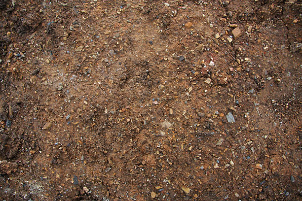 fond de terre série - dirt eroded nature abstract nature photos et images de collection