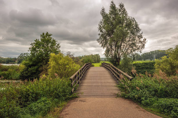 Wooden bridge over the Dutch river Dommel. The photo was taken on a cloudy day at the end of the summer season near the village of Raamsdonksveer, province of North Brabant. Fall is coming already.