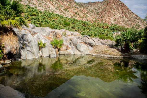 oasi in mezzo al deserto. - hiking mountain dirt scenics foto e immagini stock