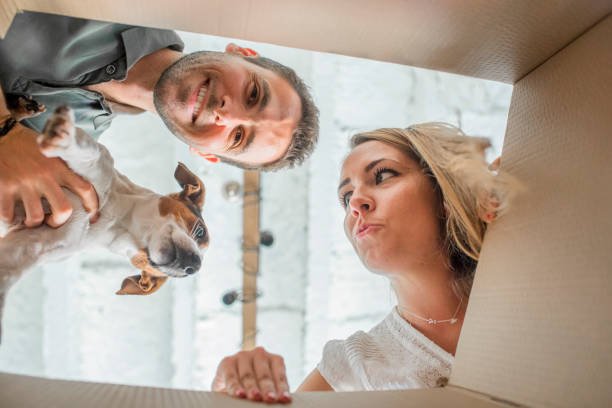 istock Unboxing for new home 1347329256