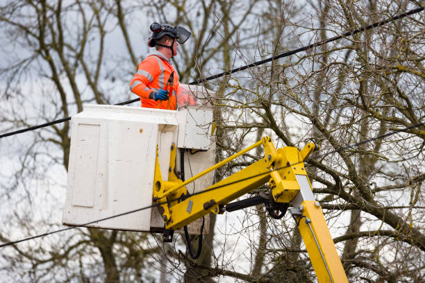 trabajador de servicios públicos cortando árboles cerca de líneas eléctricas aéreas, reino unido - maintenance engineer fuel and power generation cherry picker electricity fotografías e imágenes de stock