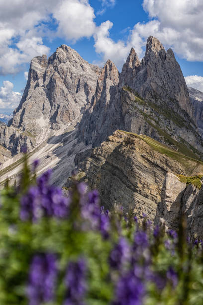 istock Seceda iconic outdoors landscape of the Dolomites 1347330756