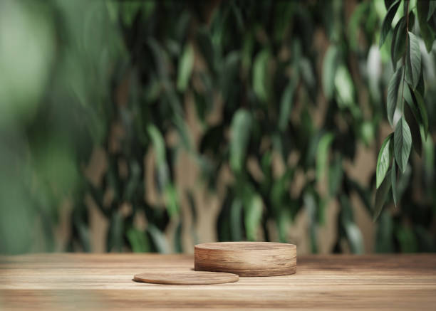 Social media or online shop banner for product promotion fondo 3d, pantalla de podio de madera. juego de soporte de tubo de madera natural. naturaleza verde con hojas de árbol y sombra. promoción de producto cosmética de belleza. estudio mínimo, plantilla de maqueta publicitaria. renderizado 3d
