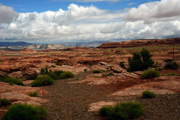 Desert mountains of Arizona