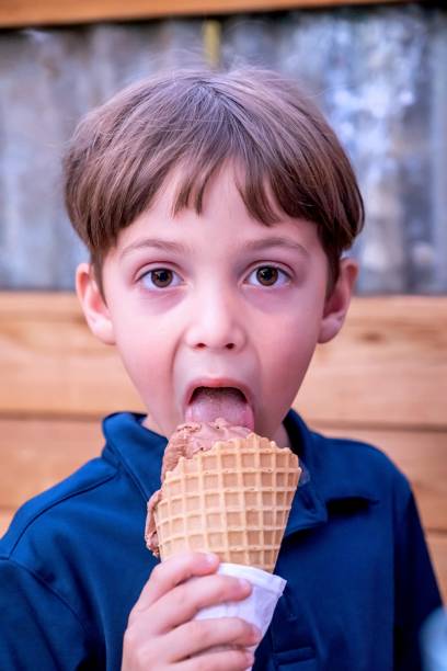 istock Little boy having a chocolate ice cream 1347339293