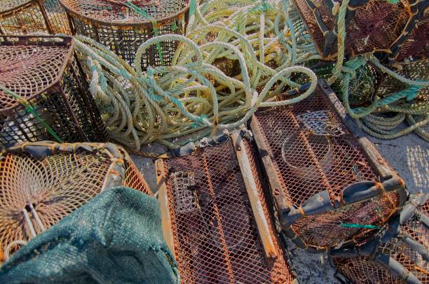 istock Seafood traps stacked in the harbour 1347341829