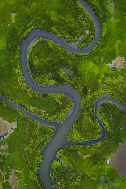 Wetland Atlas