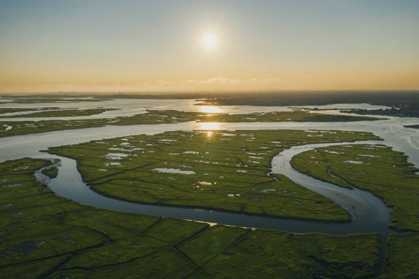 istock Wetland Atlas 1347342961