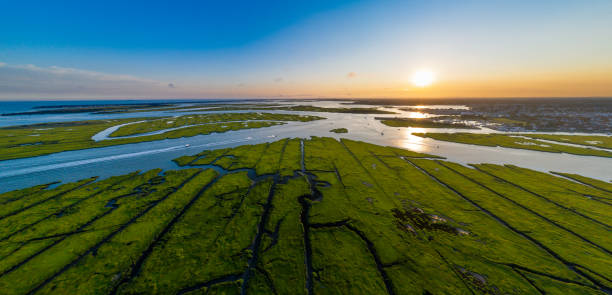 istock Wetland Atlas 1347342982