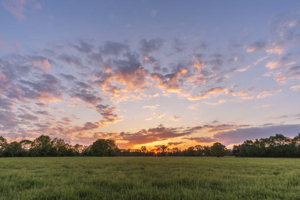 istock Landscape in Munsterland Germany at evening sky with meadow 1347343004