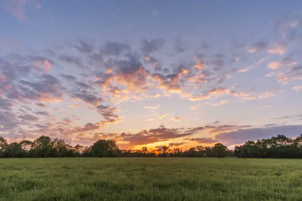 Landscape in Munsterland Germany at evening sky with meadow