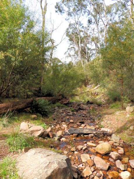 istock Grampians, Victoria, Australia 1347344571