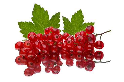 Red currant with green leaves isolated on the white background.