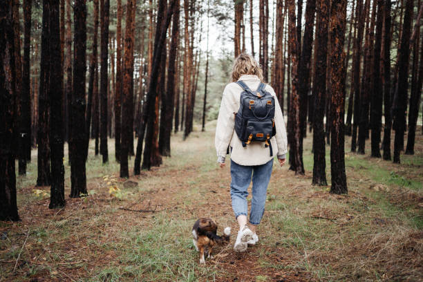 istock Playing with a puppy in the nature 1347346014