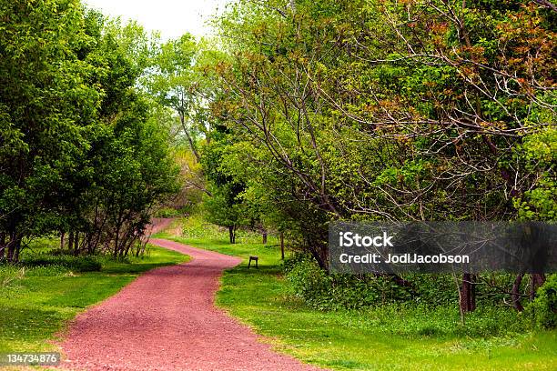 Trilho Através Do Parque Na Primavera - Fotografias de stock e mais imagens de Ao Ar Livre - Ao Ar Livre, Arbusto, Avareza