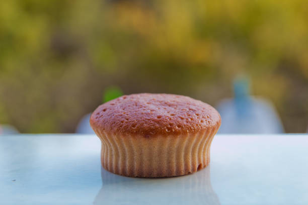 Muffin keks resepti . Isolated muffin on green background