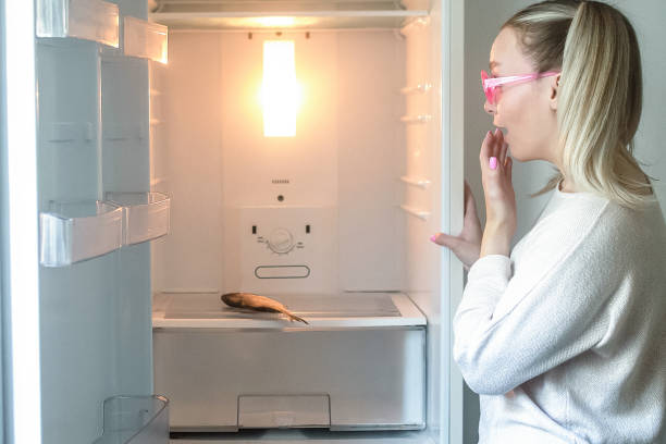 istock Bad housewife concept, empty refrigerator 1347351247